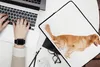 MuchoWow® Laptop Hülle 14 ZollSeitenansicht eines sitzenden Produktbild-Vorschau 2