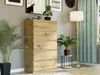 Komoda 70 cm 5 zásuvek skříňka FRAMIRE R-5 artisan Náhled obrázku produktu 8