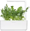 Emsa CLICK & GROW Substratkapsel, Pflanzkapsel, Produktbild-Vorschau 11