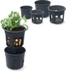 A set of dark gray plastic potato planting pots, with one pot shown with a potato plant growing and potatoes visible through the side. Another pot is shown disassembled into two parts. Produktbild-Vorschau