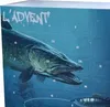 Angelköder-Adventskalender 2024 Produktbild-Vorschau 8