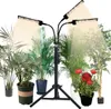 A plant grow light with multiple adjustable heads and a tripod stand, surrounded by various potted plants. Produktbild-Vorschau