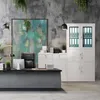 JAN NOWAK Armoire de bureau en métal avec dossier et Voir les images du produit 8
