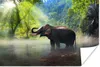 MuchoWow® Poster Elefant - Wasser - Natur 60x40 cm - Produktbild-Vorschau 1