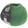 A ball of green yarn with a label. Produktbild-Vorschau