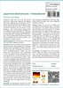 SAFLAX - Japanische Blütenkirsche - Prunus serulata - 30 Produktbild-Vorschau 3