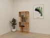 A wooden bookshelf with books and decorative items in a room with a plant and a framed picture on the wall. Produktbild-Vorschau