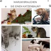PawHut Kratzbaum mit Katzenhöhle Leiter Katzenbaum Produktbild-Vorschau 6