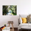 ARTland Poster Sonniger Wald Größe: 70x50 cm Produktbild-Vorschau 5