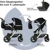 Diagram showing a stroller's transformation from a bassinet to a seat, with an optional car seat. Produktbild-Vorschau