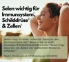 Enzym Komplex, mit 800mg Bromelain (5000 F.I.P), 300mg Produktbild-Vorschau 4