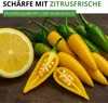Chili Lemon Drop - Capsicum baccatum - Chilisamen - scharfe Produktbild-Vorschau 2