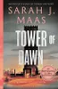 Tower of Dawn Produktbild-Vorschau 2