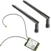 BrightSign WD105 BrightSign Dual Antenne WiFi/Bluetooth Anteprima dell’immagine prodotto 1