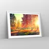 Gerahmtes Poster - Weißer Rahmen - Park Herbst Baum - 70x50 Produktbild-Vorschau 8