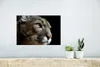 MuchoWow® Poster Cougar - Augen - Schwarz 30x20 cm - Produktbild-Vorschau 5