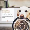 REAVET Magenmild Pulver für Hunde 500g – Für Hunde mit Produktbild-Vorschau 12