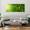 Bilder auf glas - Bambus Pflanze - 120x50cm - Glasbilder - Produktbild-Vorschau 6