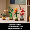 LEGO® Botanicals 10344 Glücks-Bambus Produktbild-Vorschau 37
