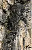 Mumijo Natural aus Kirgisien Shilajit, Mineralien, 60 Produktbild-Vorschau 7