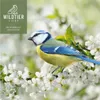 wildtier liebe Edel Soldatenfliegenlarven getrocknet 5L I Produktbild-Vorschau 7
