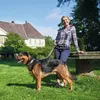 Verstellbare Führleine Swiss 18/200, braun/schwarz Produktbild-Vorschau 3