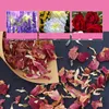 Sacchetti di carta kraft per coriandoli, confezione da 32 Anteprima dell’immagine prodotto 3