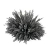 Magnetfeld Eisenpulver 100g Produktbild-Vorschau 4