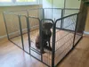 Welpenfreigehege YOUNG DOGS Größe XL Welpenauslauf Produktbild-Vorschau 7