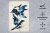 MuchoWow® Mauspad Mousepad Vögel - Tiere - Blau - Vintage Produktbild-Vorschau 2