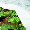 Agrowłóknina Okryciowa (Zimowa-Wiosenna) Maan Biały 160 X Podgląd zdjęcia produktu 3