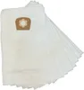 daniclean dc21 UNI / 10 Vlies Staubsaugerbeutel 20L passend Produktbild-Vorschau 1