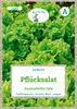 Grüne Fee - Pflücksalat Australische Gele Samen - 11485 Produktbild-Vorschau 1