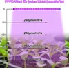 Diagram showing light intensity at different distances from a grow light, with seedlings below. Produktbild-Vorschau