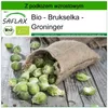 SAFLAX - Bio - Brukselka - Groninger - 30 Nasiona - Z Podgląd zdjęcia produktu 10