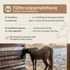 AniForte Vitality Cobs Natur für Pferde 14 kg - 100 % Produktbild-Vorschau 5