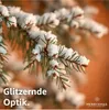 A close-up of a snow-covered pine branch with text overlay. Náhled obrázku produktu