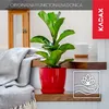 A red plant pot with a green plant on a wooden shelf, next to a grey blanket. Anteprima dell’immagine prodotto