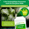 Purgrün Calathea-Dünger 1 Liter, Produktbild-Vorschau 4