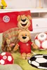 A collection of FC Bayern Munich themed plush toys and accessories, including a pillow, a large teddy bear, a small teddy bear keychain, and soccer balls, arranged on a green rug with a soccer ball pattern. Náhľad obrázku produktu