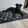 PURLOV 24862 Letto per cani 100 x 70 cm Anteprima dell’immagine prodotto 8