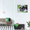 Panca pieghevole in pelle RD31586, nero Anteprima dell’immagine prodotto 2