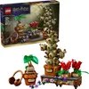 LEGO 76474 Harry Potter Schloss Hogwarts? Kräuterk.-Pflanz. Voir les images du produit 16