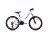Mountainbike 24 Zoll Mountainbike mit Aluminium-Rahmen 21 Produktbild-Vorschau 1