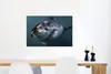 MuchoWow® Poster Hai - Weiß - Wasser 60x40 cm - Produktbild-Vorschau 5