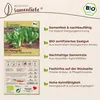 Samenliebe  Mangold Samen | Schnittmangold - winterhart & Produktbild-Vorschau 3