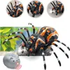 Ferngesteuerte Spinnen-Vogelspinne Infrarot Schwarz R/C ST Produktbild-Vorschau 5