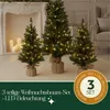 Three artificial Christmas trees of varying sizes, decorated with LED lights, are arranged in a room with a fireplace and candles in the background. Anteprima dell’immagine prodotto