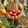 Wióry rogowe 1-6 mm Nawóz azotowy organiczny (5 kg na 50 Podgląd zdjęcia produktu 8