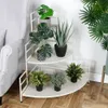 A corner shelf with plants next to a sofa. Voir les images du produit